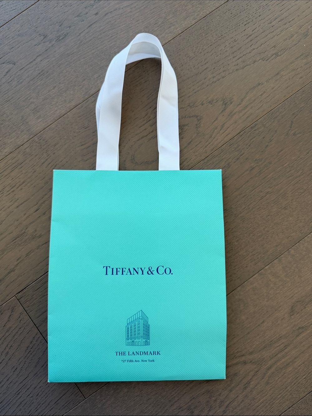 Authentic Tiffany & Co. Shopping Bag – The Landmark NYC